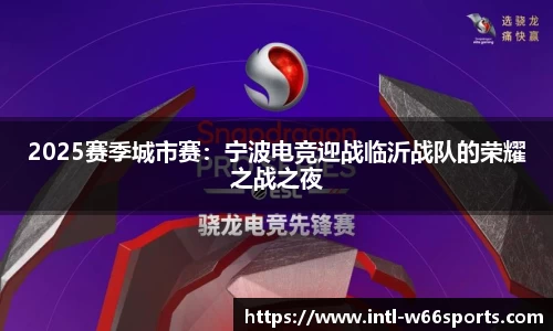 2025赛季城市赛：宁波电竞迎战临沂战队的荣耀之战之夜